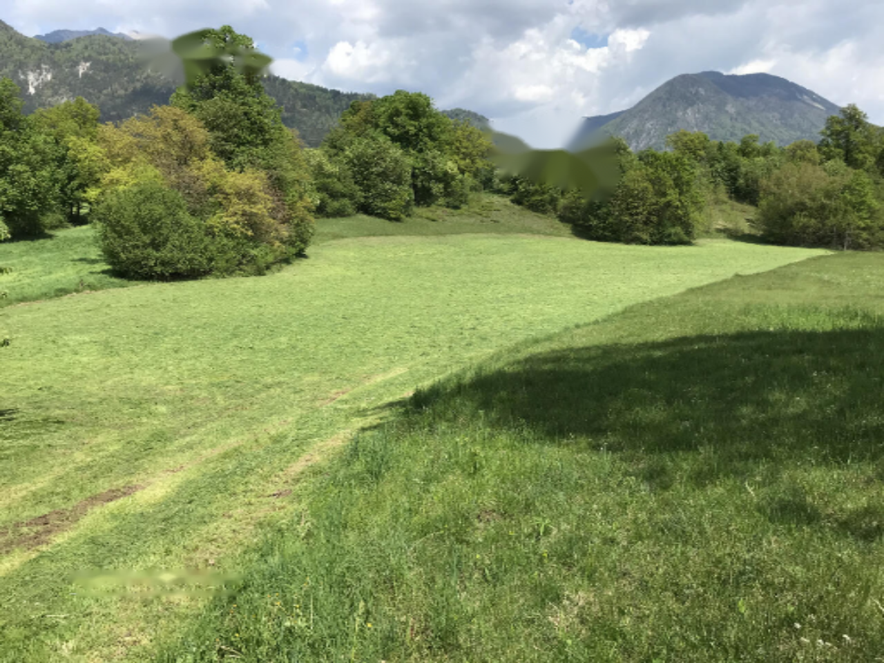 Land in Vodice, Slovenia, 13 325 m² - picture 4