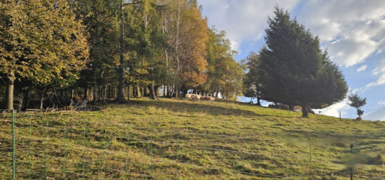 Terrain à Kranj, Slovénie, 33 465 m² - image 4