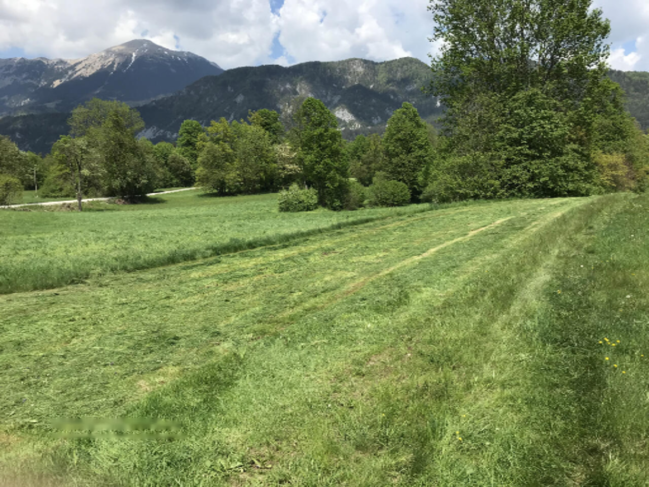 Land in Vodice, Slovenia, 13 325 m² - picture 5