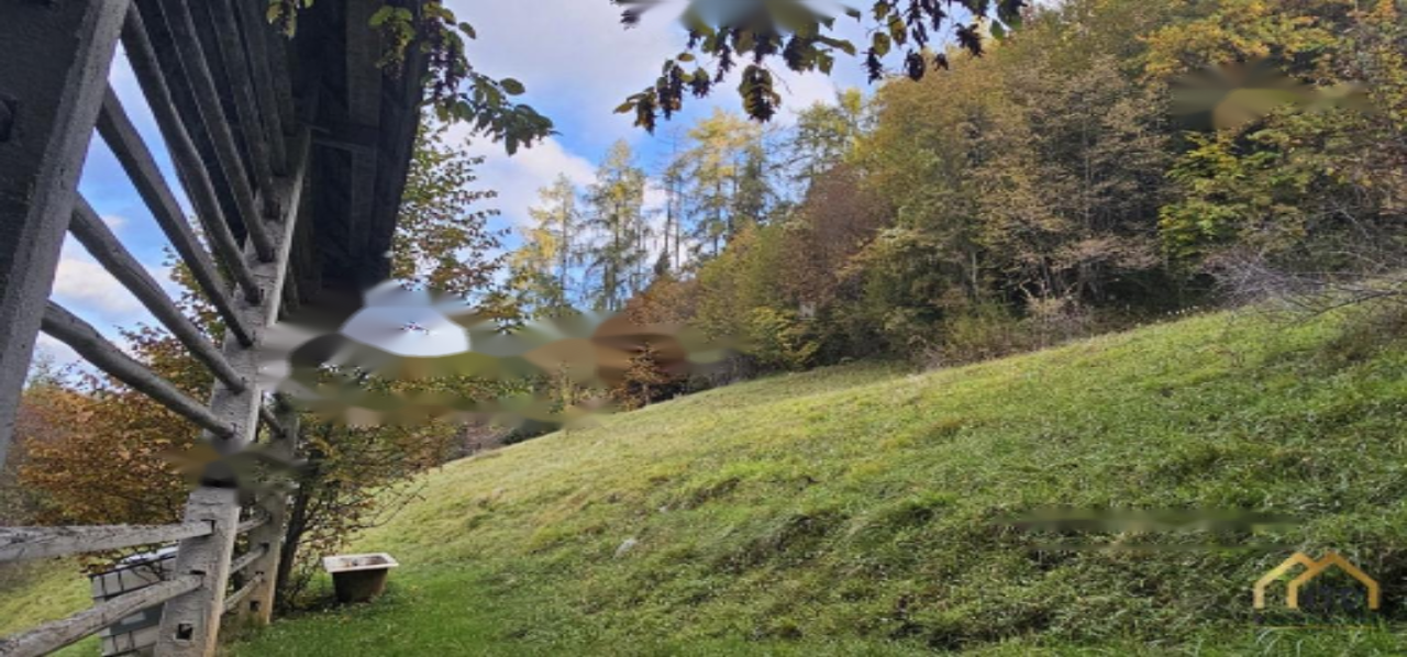 Terrain à Kranj, Slovénie, 33 465 m² - image 5