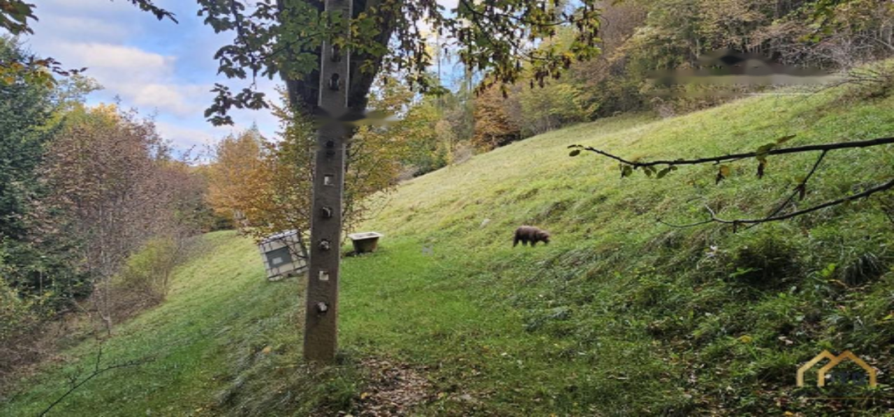 Terrain à Kranj, Slovénie, 33 465 m² - image 6