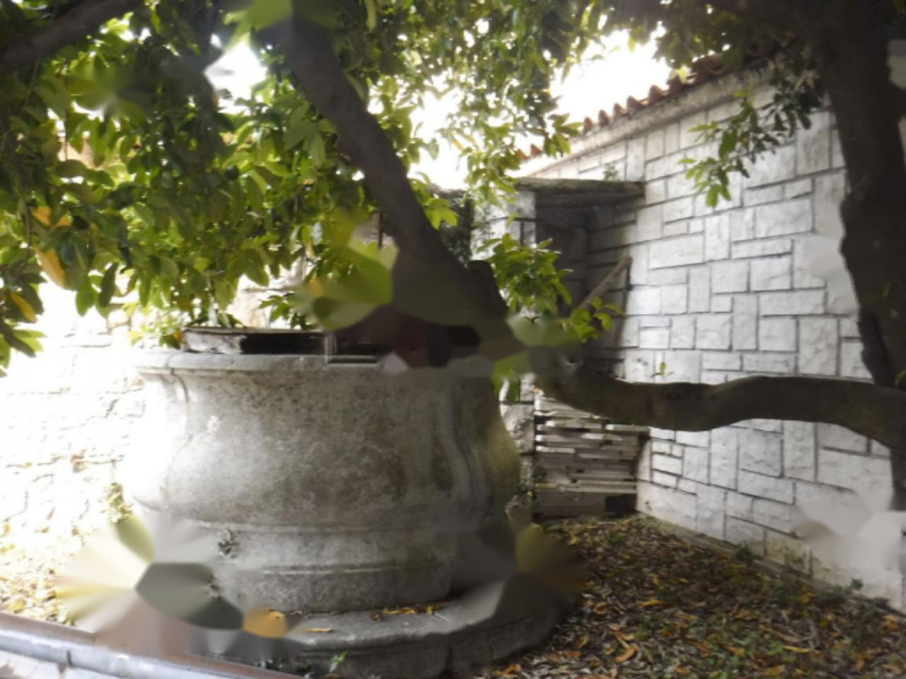 Casa en Komen, Eslovenia, 732 m² - imagen 7