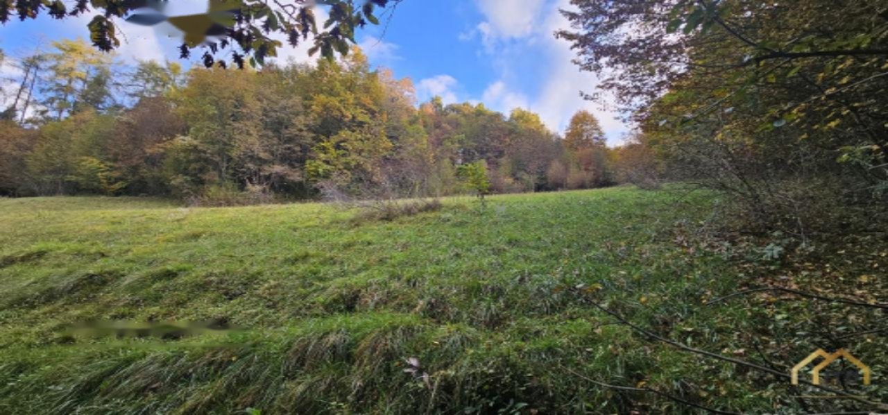 Terrain à Kranj, Slovénie, 33 465 m² - image 7