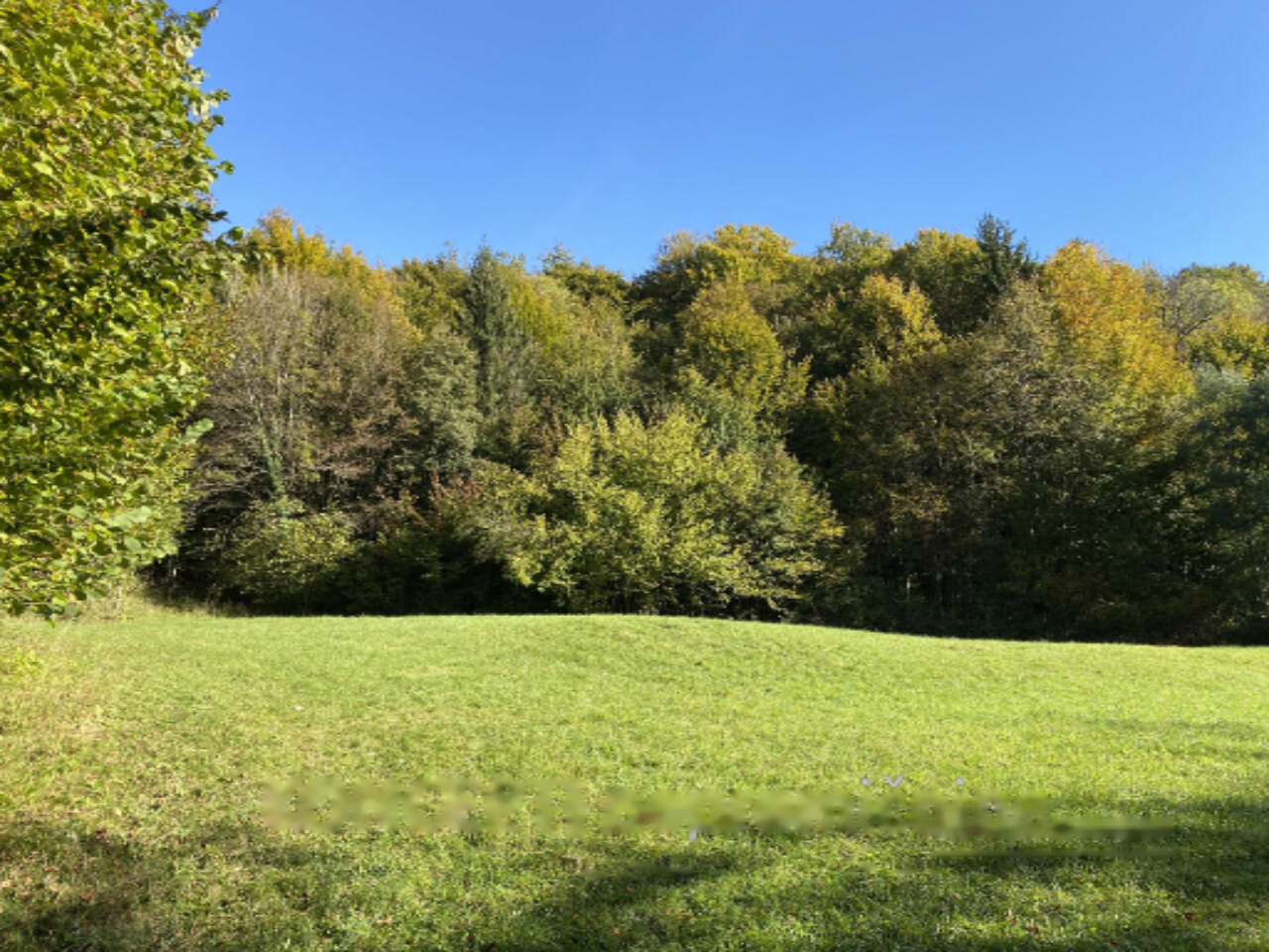 Terreno a Radovljica, Slovenia, 85 201 m2 - foto 8