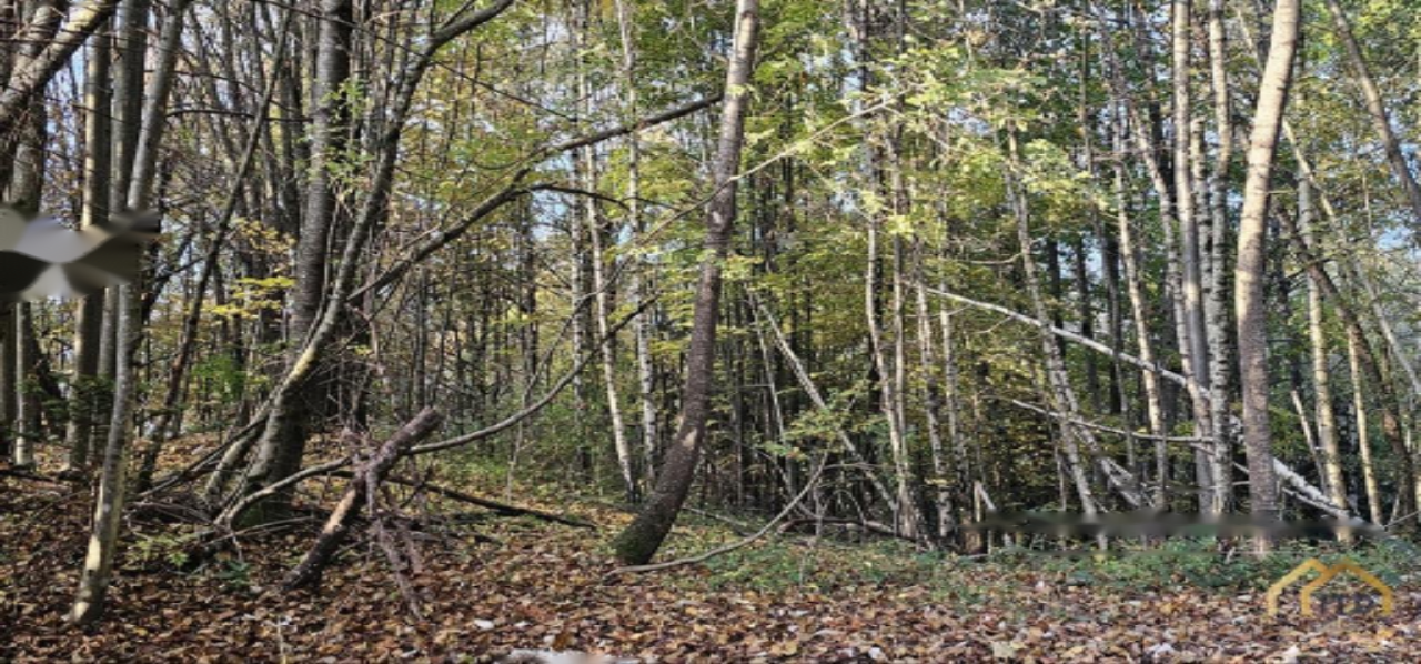 Terrain à Kranj, Slovénie, 33 465 m² - image 10