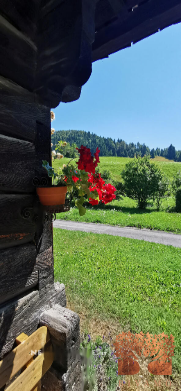 Grundstück in Bohinj, Slowenien, 15 290 m² - Foto 10