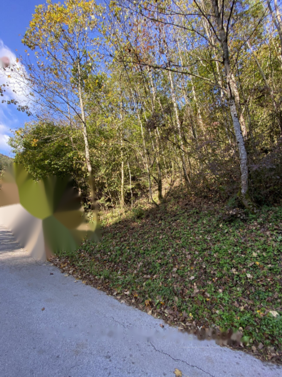 Terreno a Radovljica, Slovenia, 85 201 m2 - foto 10