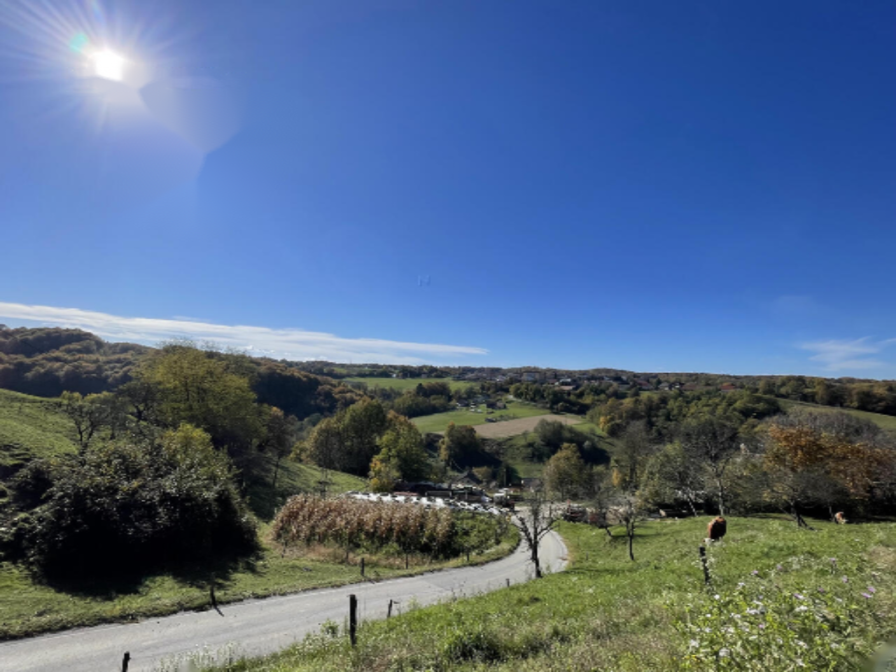 Haus in Malečnik, Slowenien, 88 m² - Foto 11