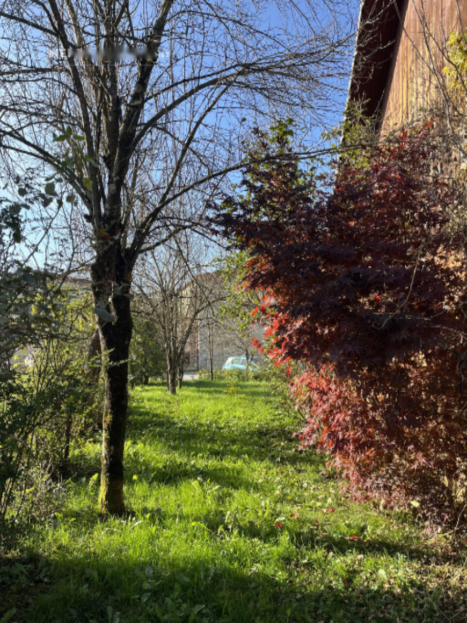 Casa en Cerknica, Eslovenia, 170 m² - imagen 13