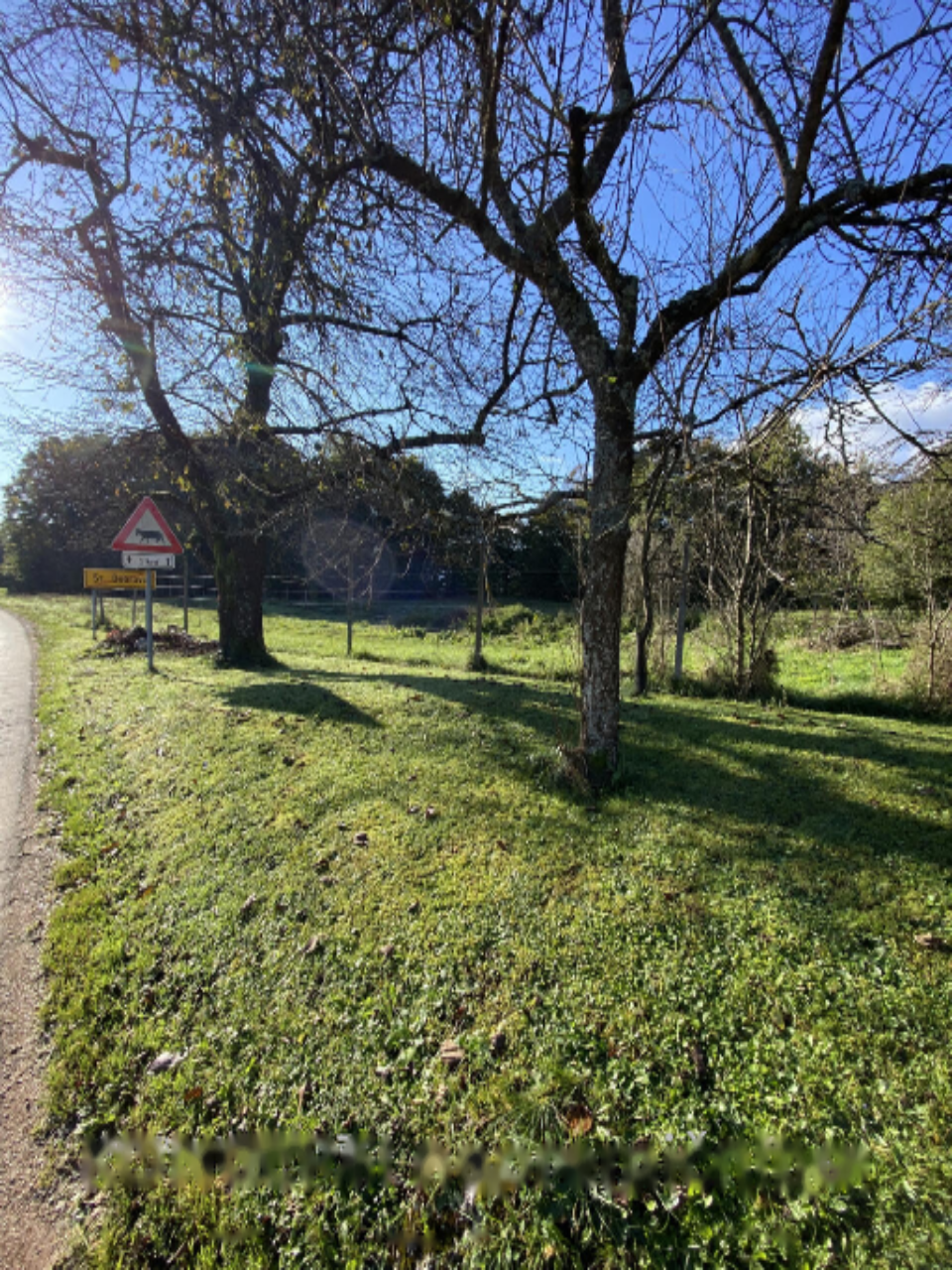 Terreno a Radovljica, Slovenia, 85 201 m2 - foto 14