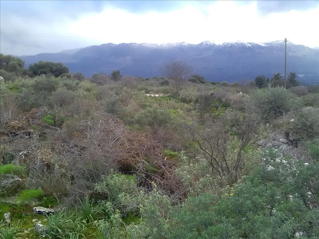 Terreno a Heraklion, Grecia, 9 800 m2 - foto 4