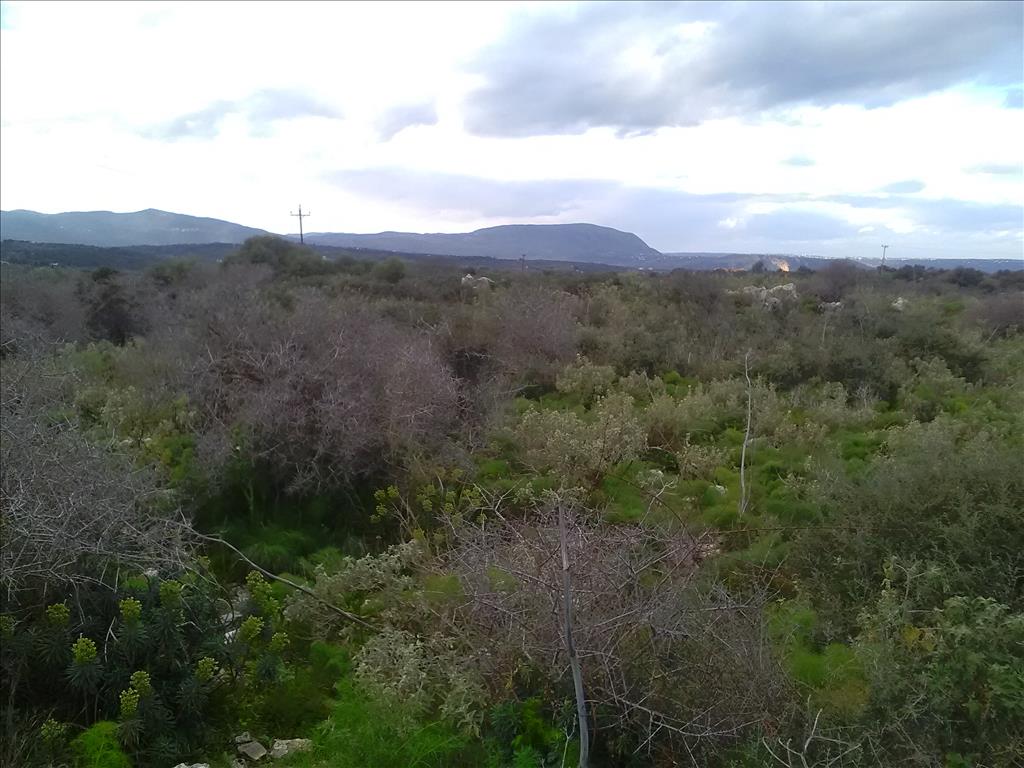 Terreno a Heraklion, Grecia, 9 800 m2 - foto 8