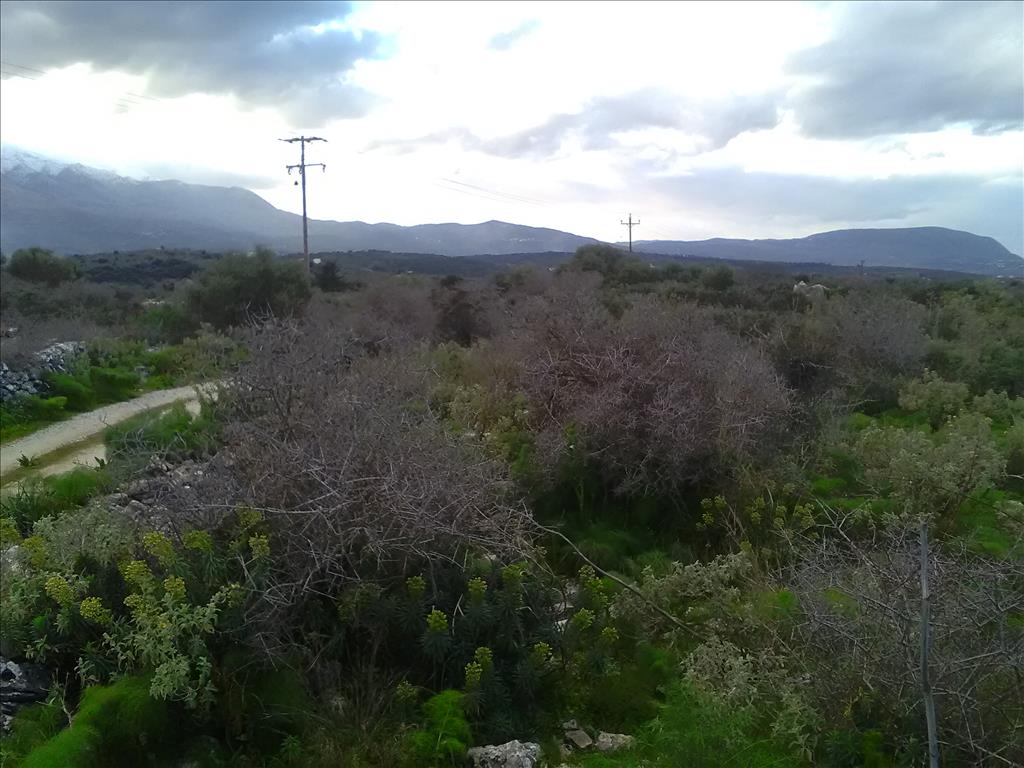 Terreno a Heraklion, Grecia, 9 800 m2 - foto 9