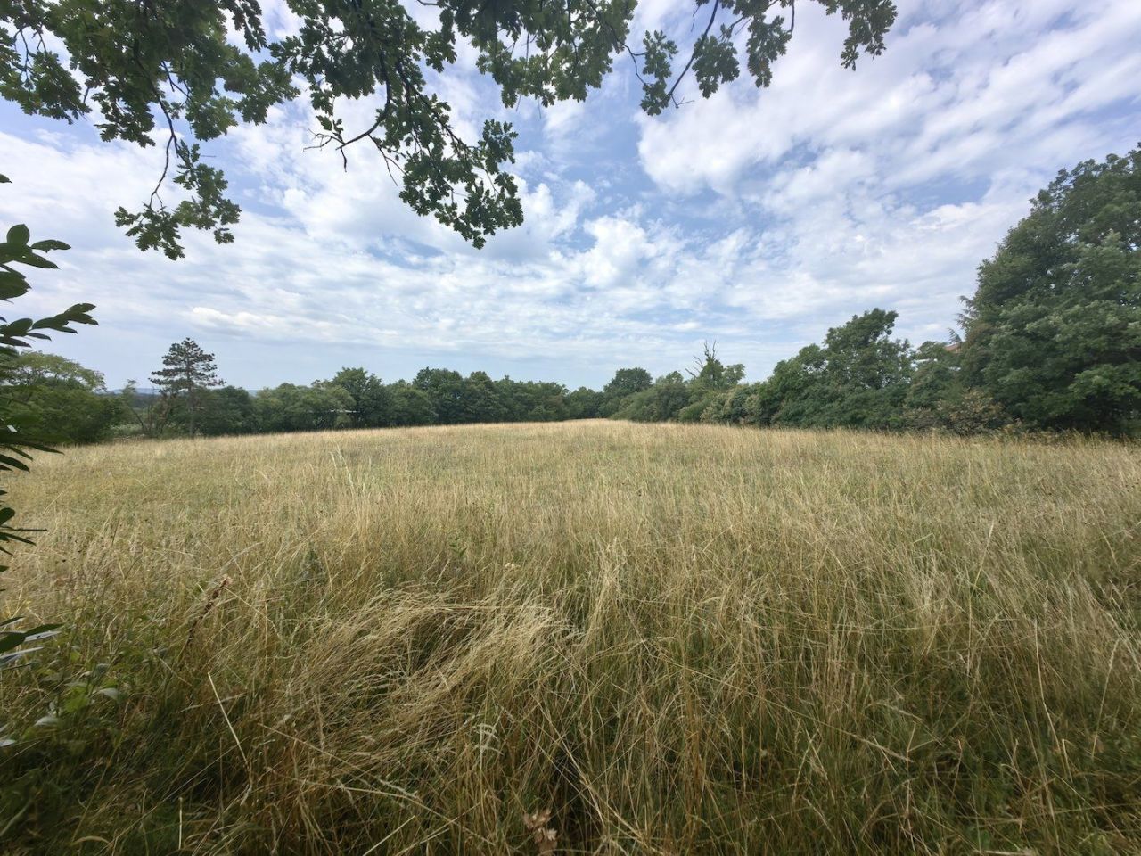 Haus in Komen, Slowenien, 114 m² - Foto 3