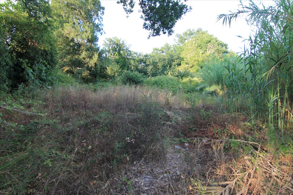 Land in Corfu, Greece, 7 000 m² - picture 1