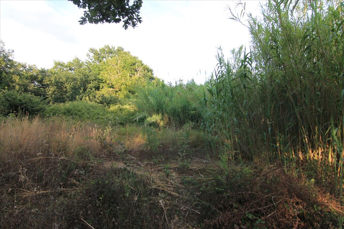Land in Corfu, Greece, 7 000 m² - picture 2