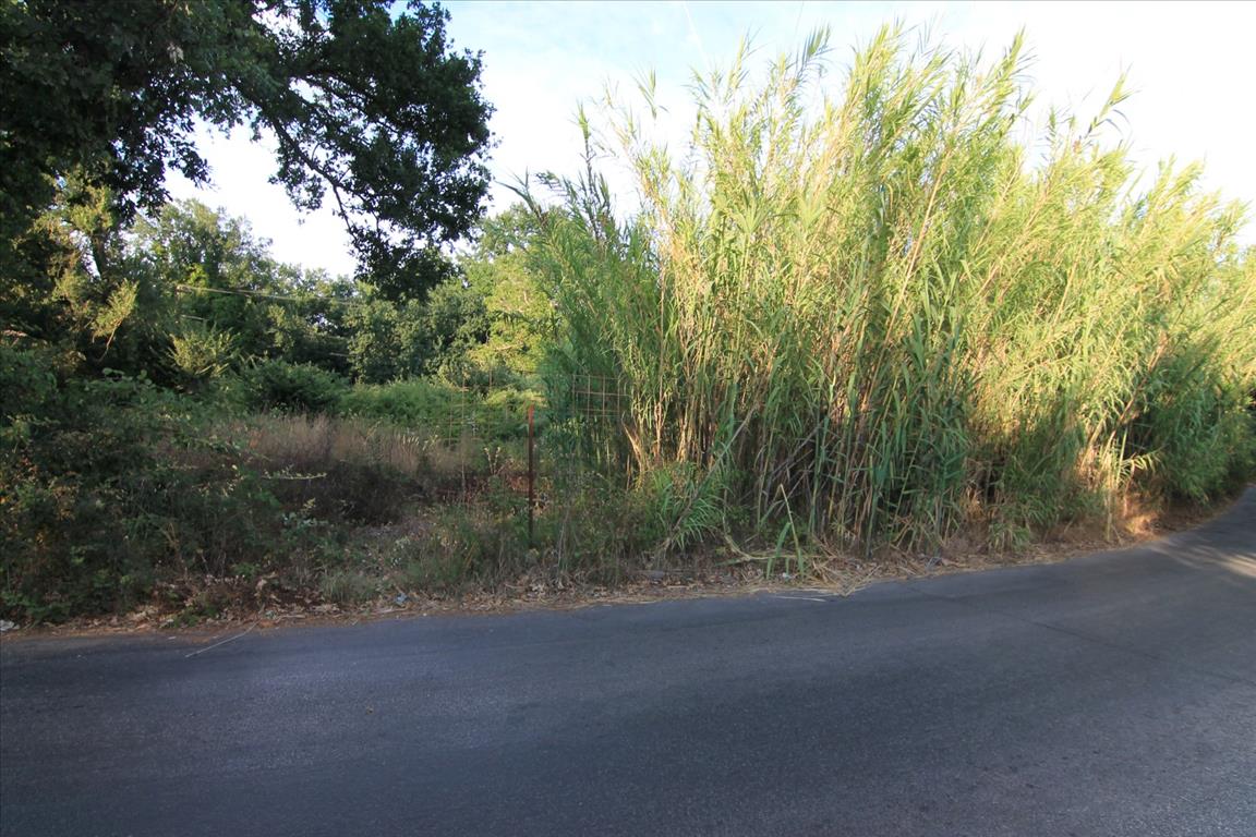 Land in Corfu, Greece, 7 000 m² - picture 4