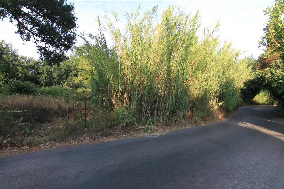 Land in Corfu, Greece, 7 000 m² - picture 5