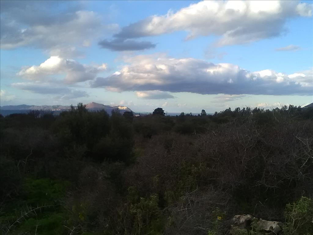 Terreno a Heraklion, Grecia, 9 800 m2 - foto 12