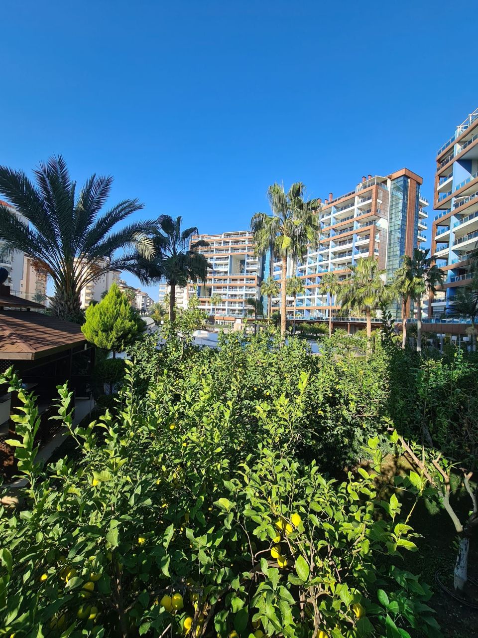 Appartamenti a Alanya, Turchia, 120 m² - foto 19