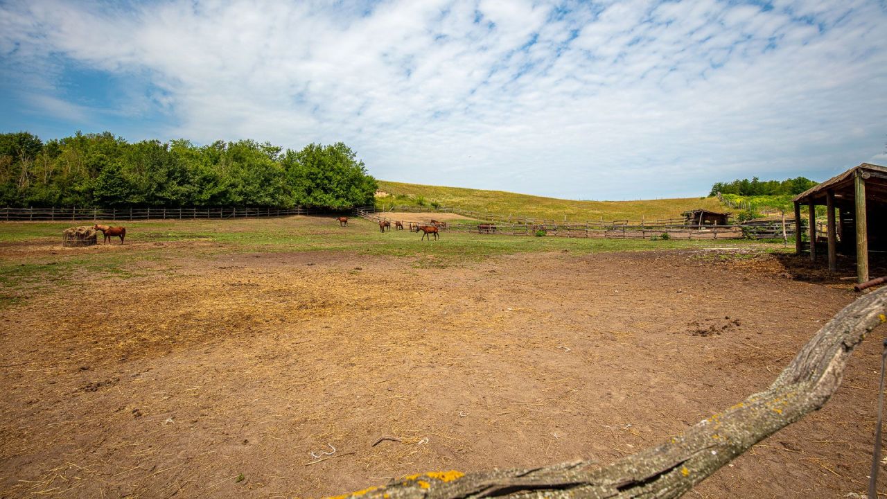 Villa in Siofok, Hungary, 950 m² - picture 10