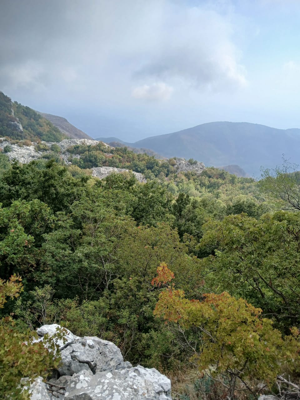 Terreno a Buljarica, Montenegro, 129 000 m2 - foto 11