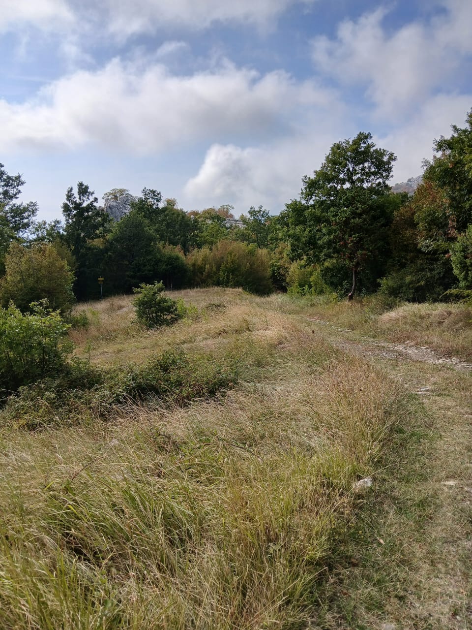 Terreno a Buljarica, Montenegro, 129 000 m2 - foto 10