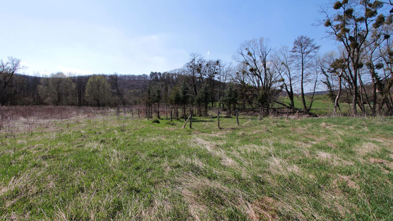 Investment project in Zalacsany, Hungary, 600 m² - picture 10