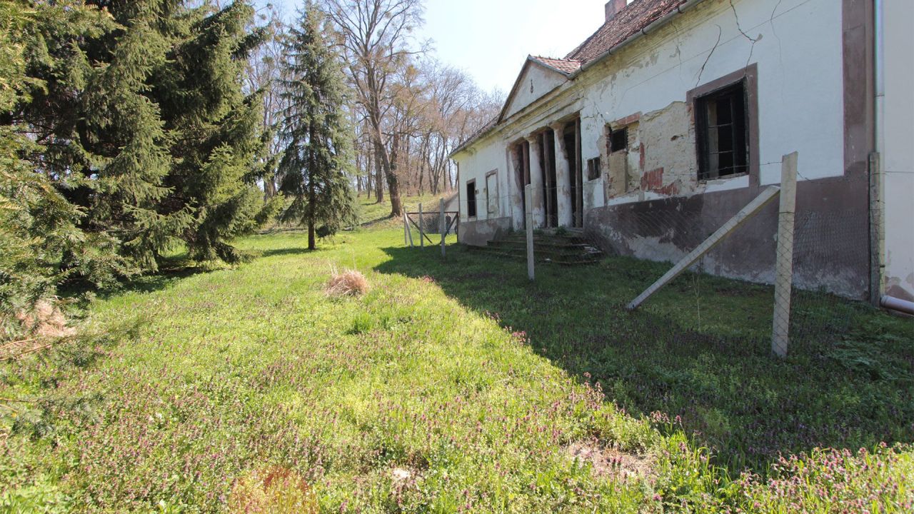 Investment project in Zalacsany, Hungary, 600 m² - picture 13