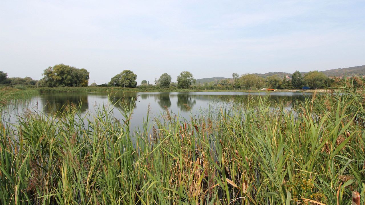 Terreno sul Balaton, Ungheria, 36 700 m2 - foto 9