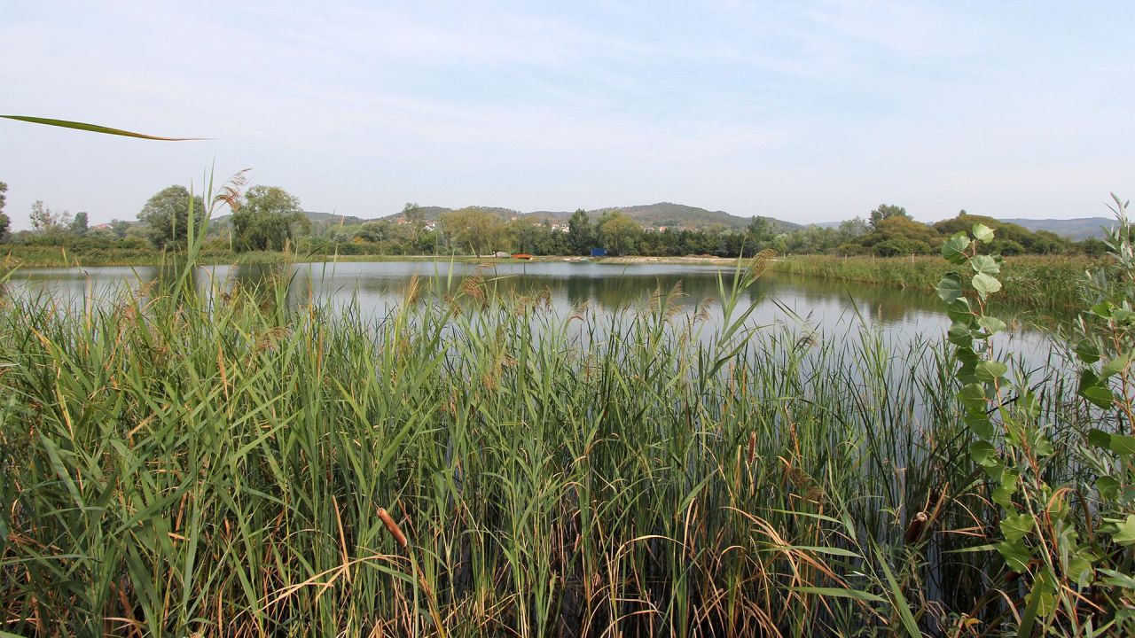 Terreno sul Balaton, Ungheria, 36 700 m2 - foto 10