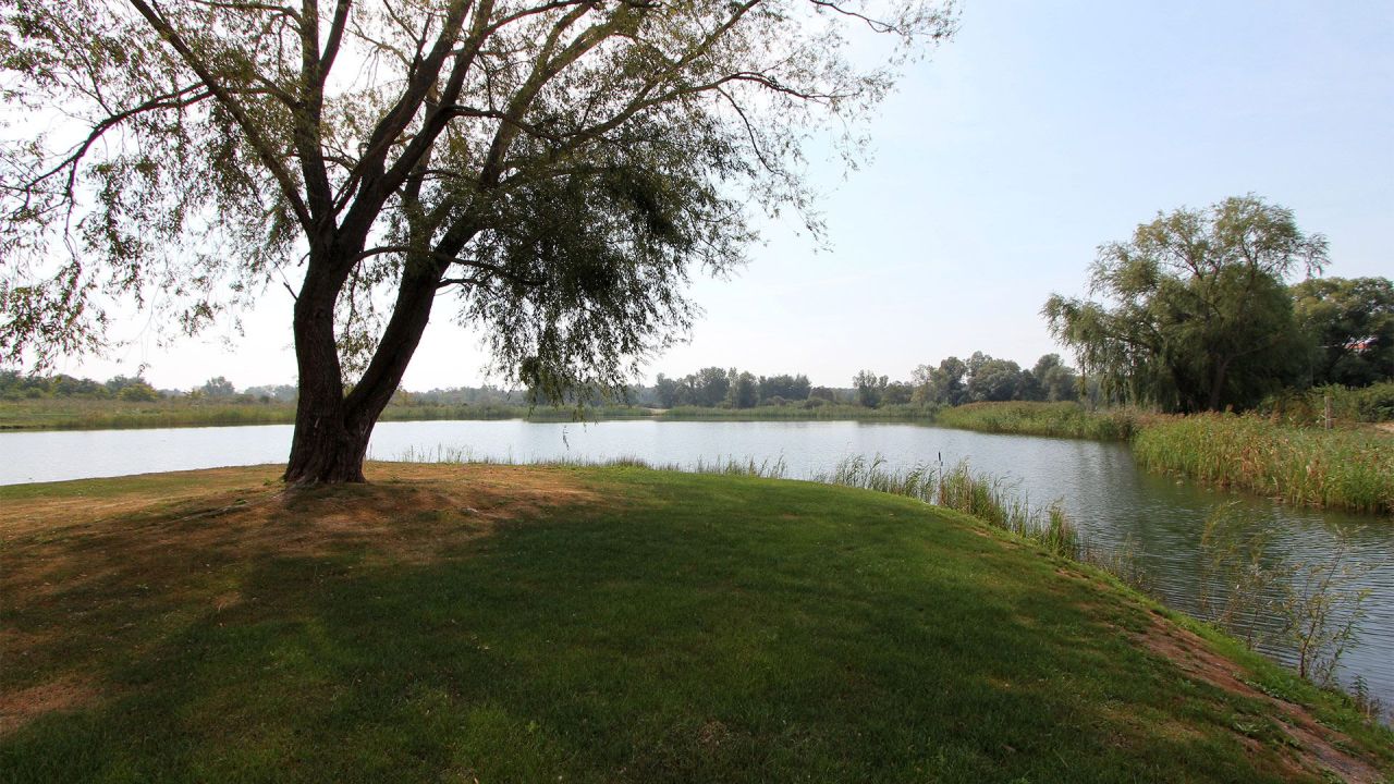 Terreno sul Balaton, Ungheria, 36 700 m2 - foto 8