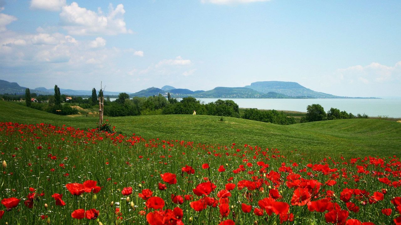 Terreno en Balaton, Hungría, 690 000 m² - imagen 9