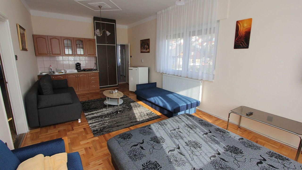 Hotel in Vonyarcvashegy, Hungary, 323 m² - picture 10