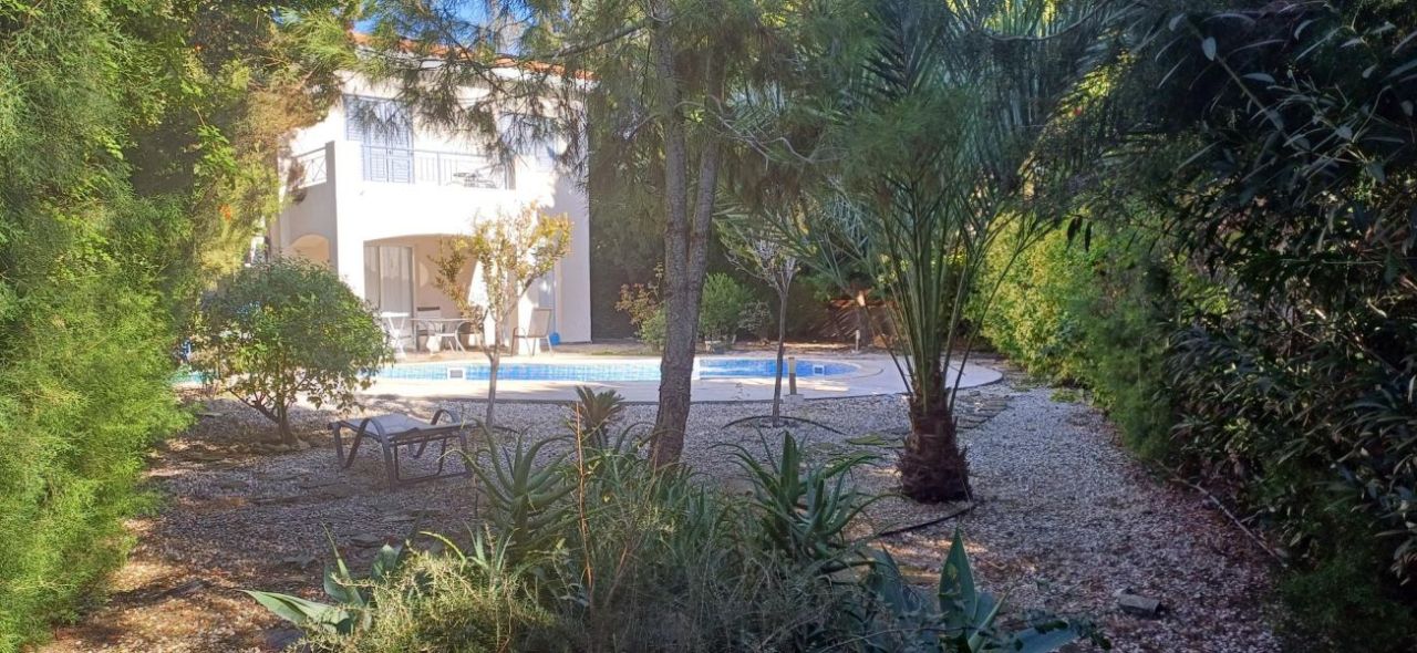 Villa in Paphos, Zypern, 120 m² - Foto 2