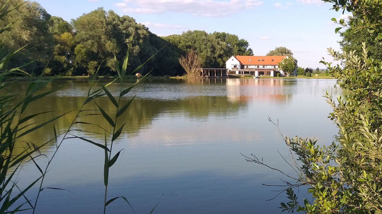 Hôtel à Zala, Hongrie, 990 m² - image 7