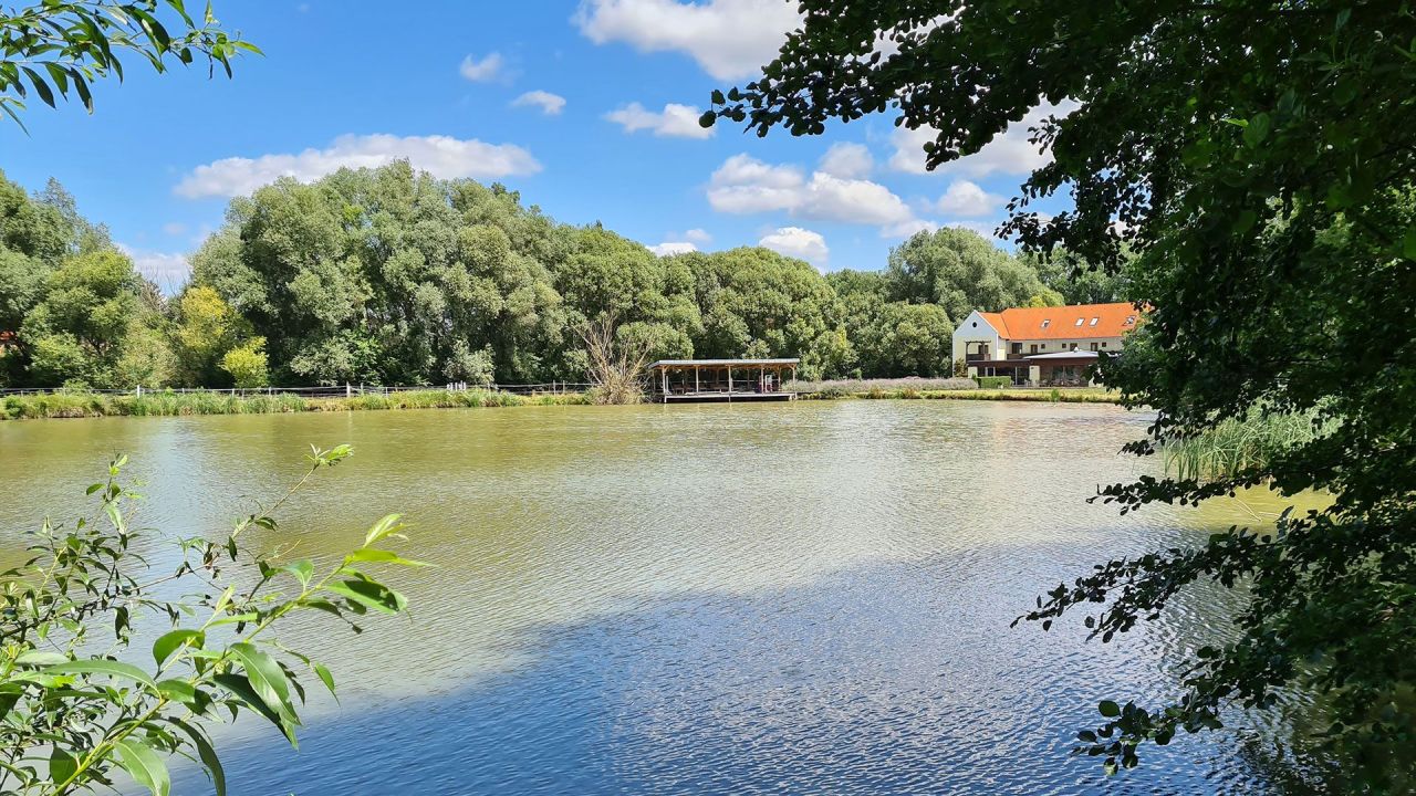 Hôtel à Zala, Hongrie, 990 m² - image 6