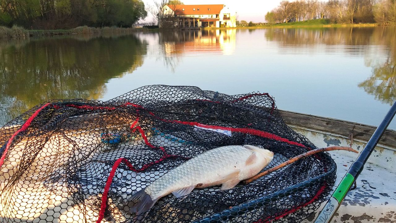 Hôtel à Zala, Hongrie, 990 m² - image 8