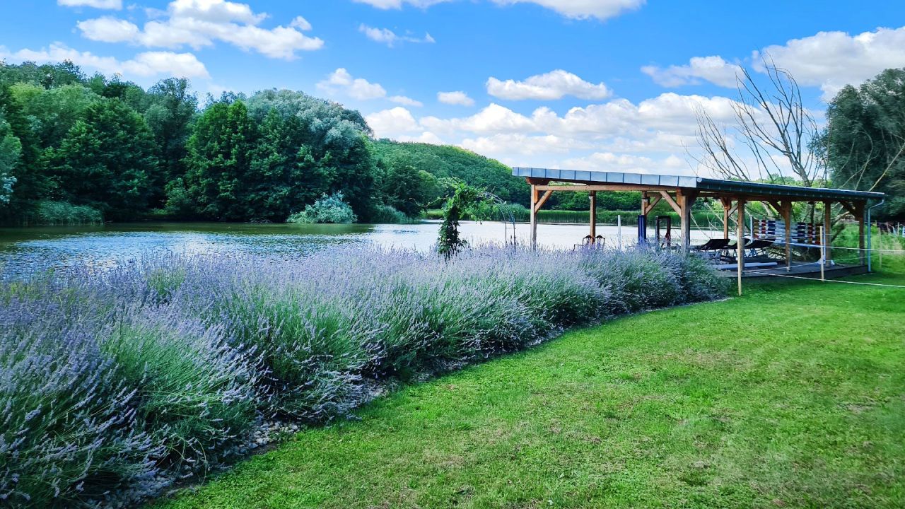 Hôtel à Zala, Hongrie, 990 m² - image 5