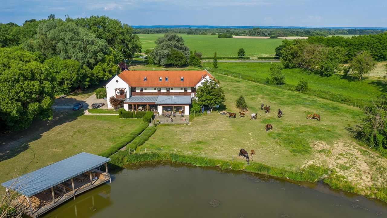 Hôtel à Zala, Hongrie, 990 m² - image 15