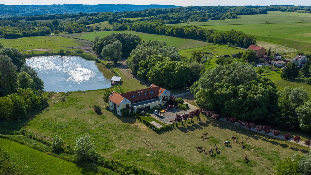 Hôtel à Zala, Hongrie, 990 m² - image 9