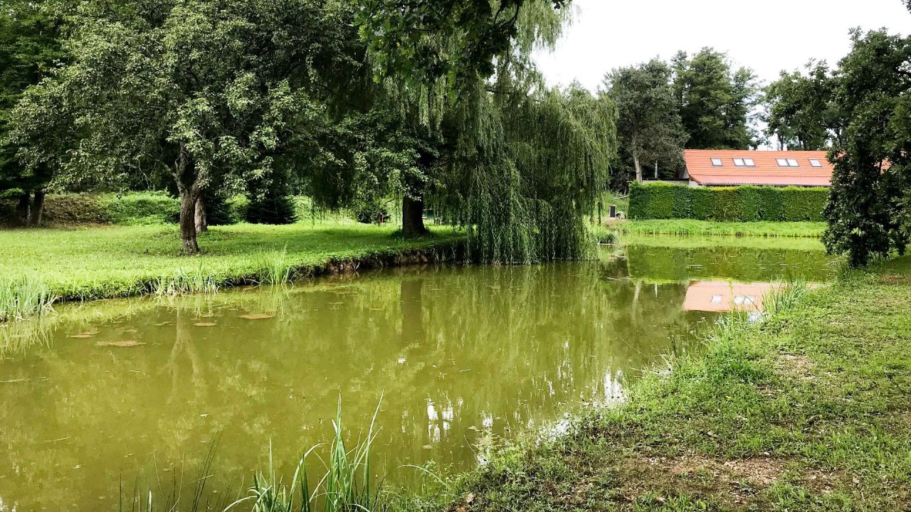 Cafe, restaurant in Vas, Hungary, 1 070 m² - picture 13