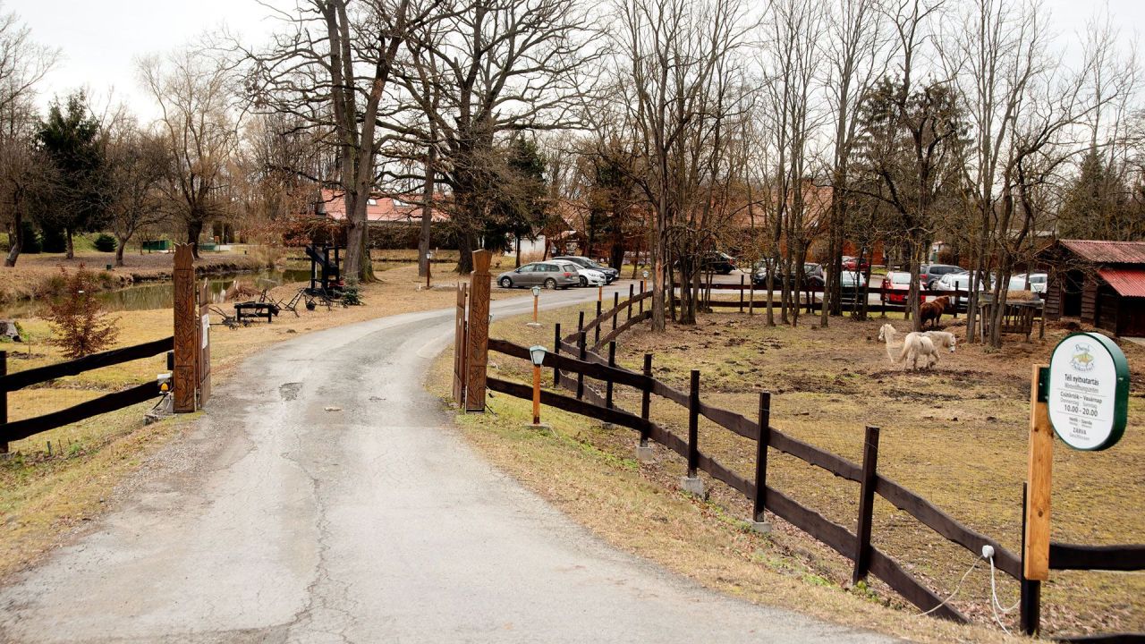 Cafe, restaurant in Vas, Hungary, 1 070 m² - picture 7