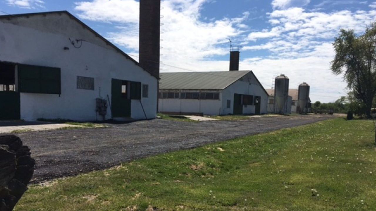 Biens commerciaux à Zala, Hongrie, 4 500 m² - image 8