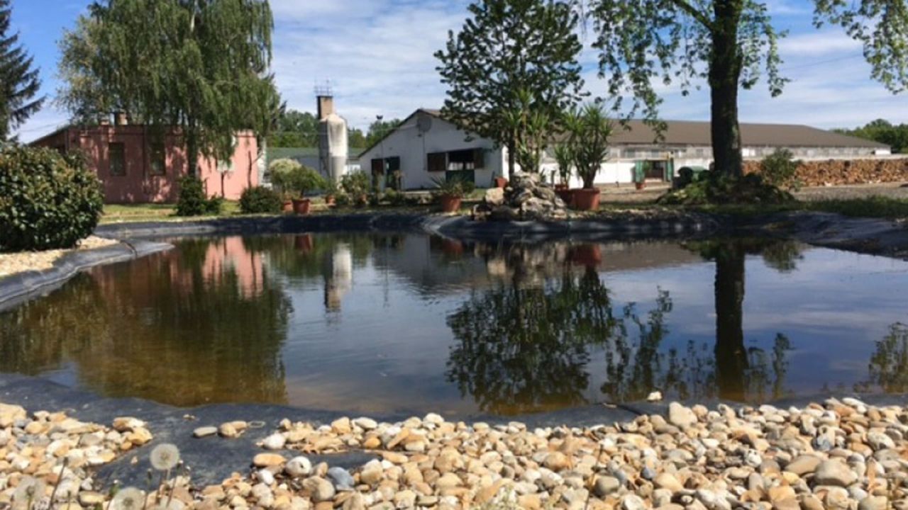 Biens commerciaux à Zala, Hongrie, 4 500 m² - image 3