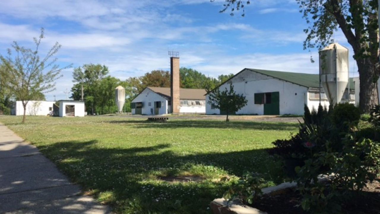 Biens commerciaux à Zala, Hongrie, 4 500 m² - image 9