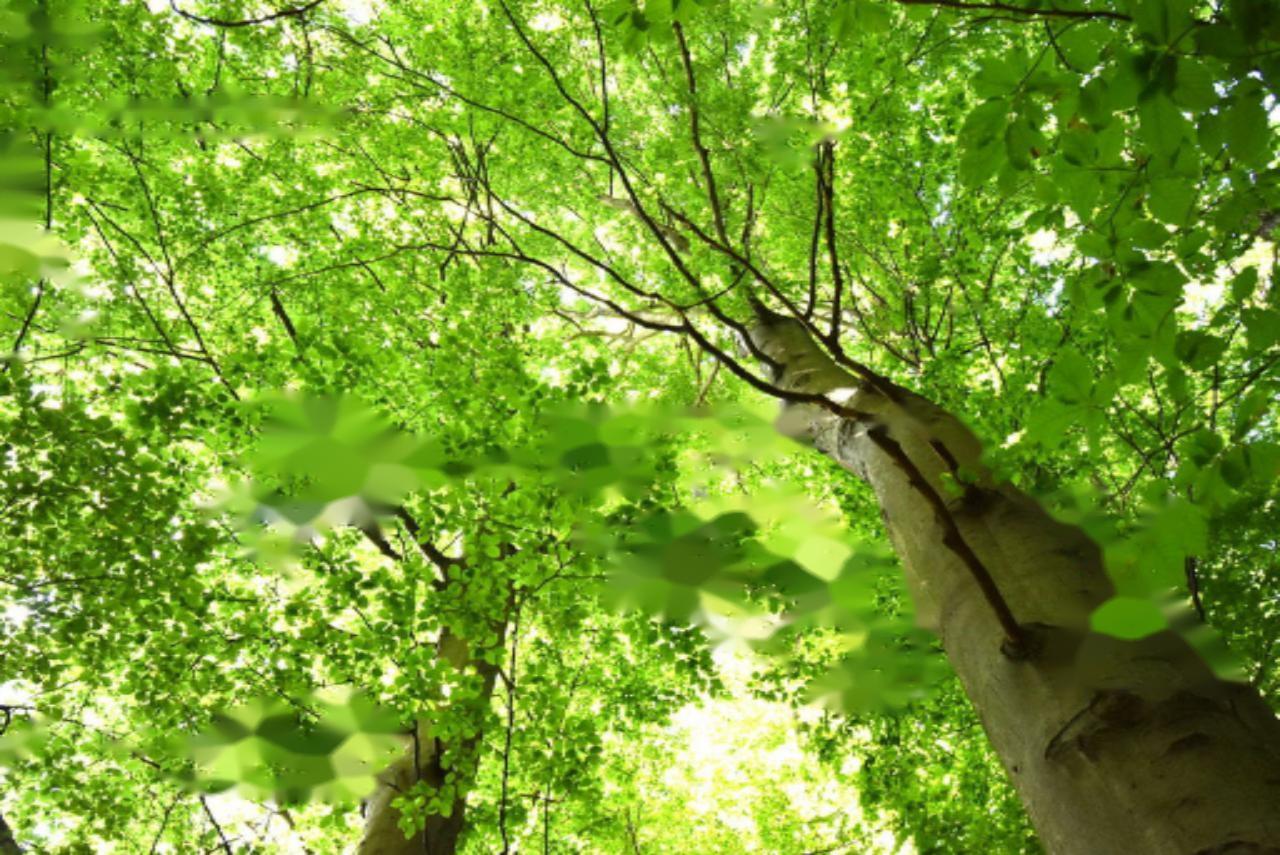 Farm in Sentjur, Slovenia, 70 m² - picture 2