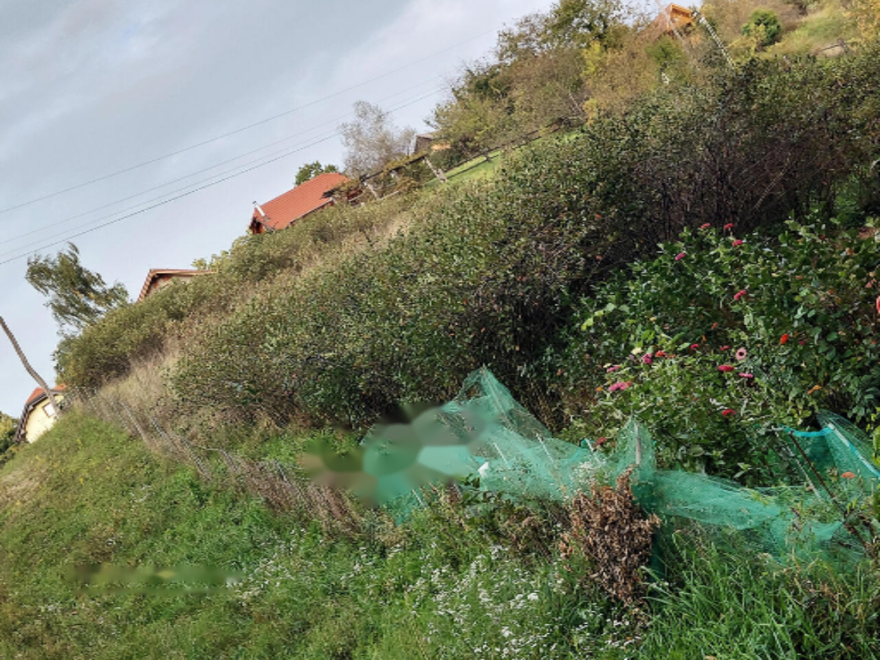 Maison à Trebnje, Slovénie, 80 m² - image 5