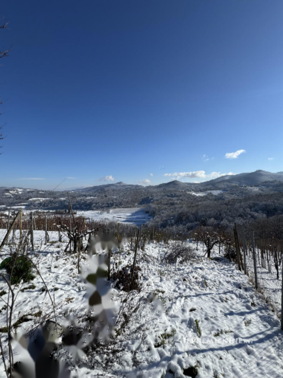 House in Kamnik, Slovenia, 90 m² - picture 8