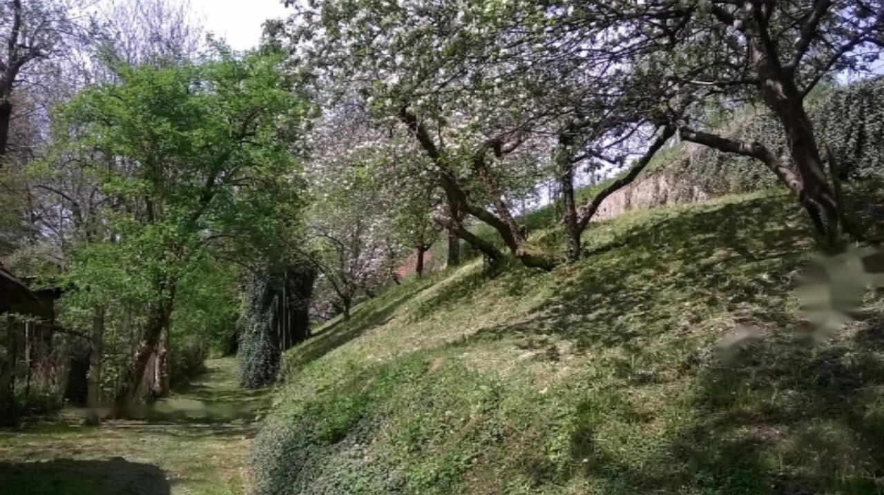 House in Ruše, Slovenia, 193 m² - picture 12